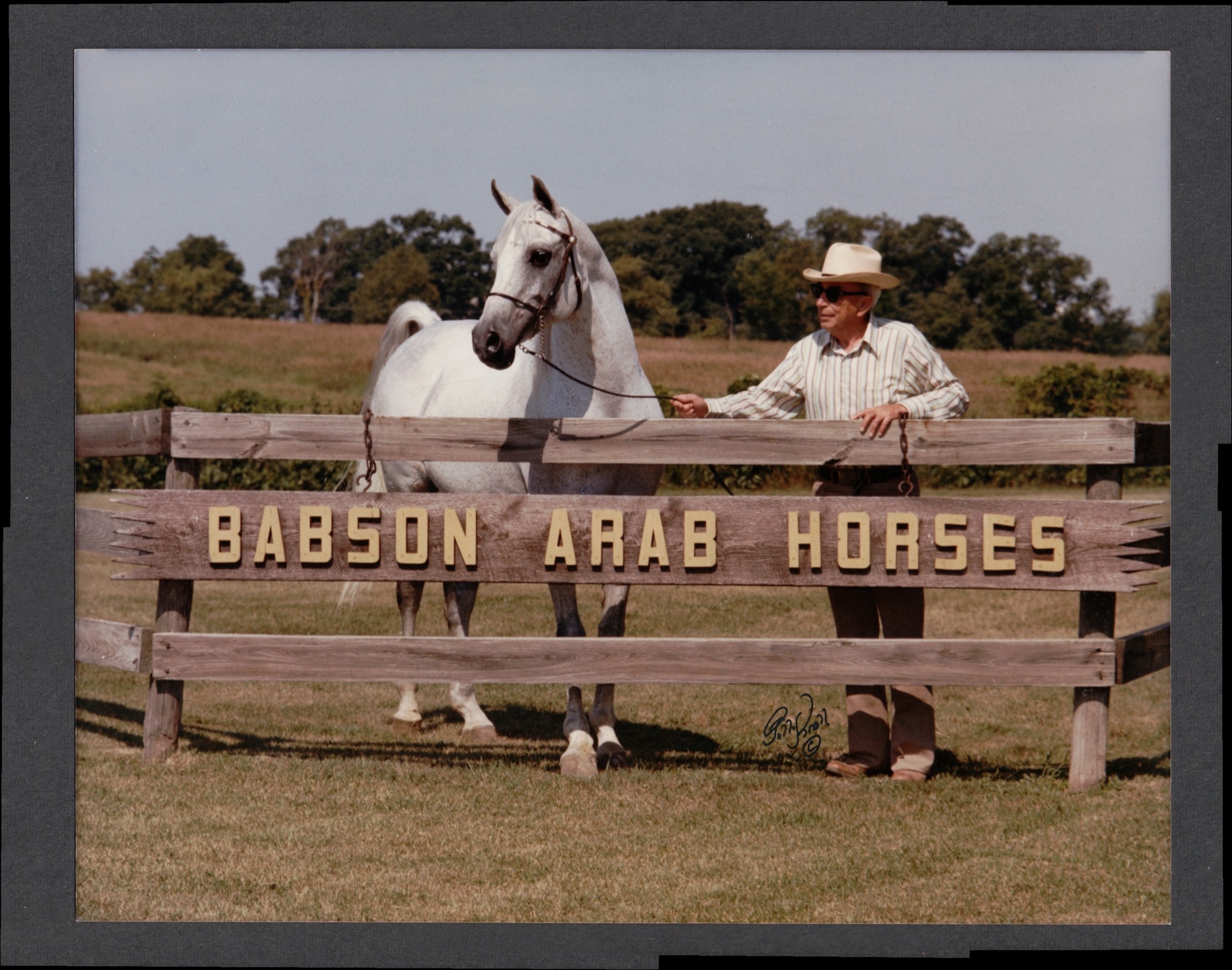 The Babson Egyptian Arabians, Homer Watson