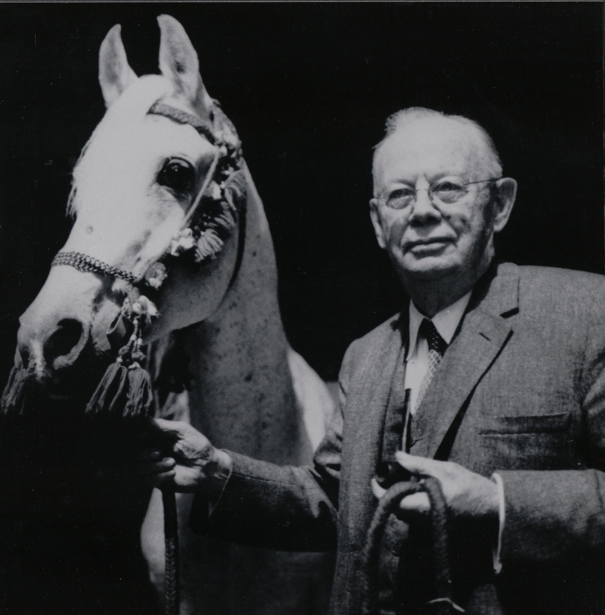 Henry with the Egyptian Arabians