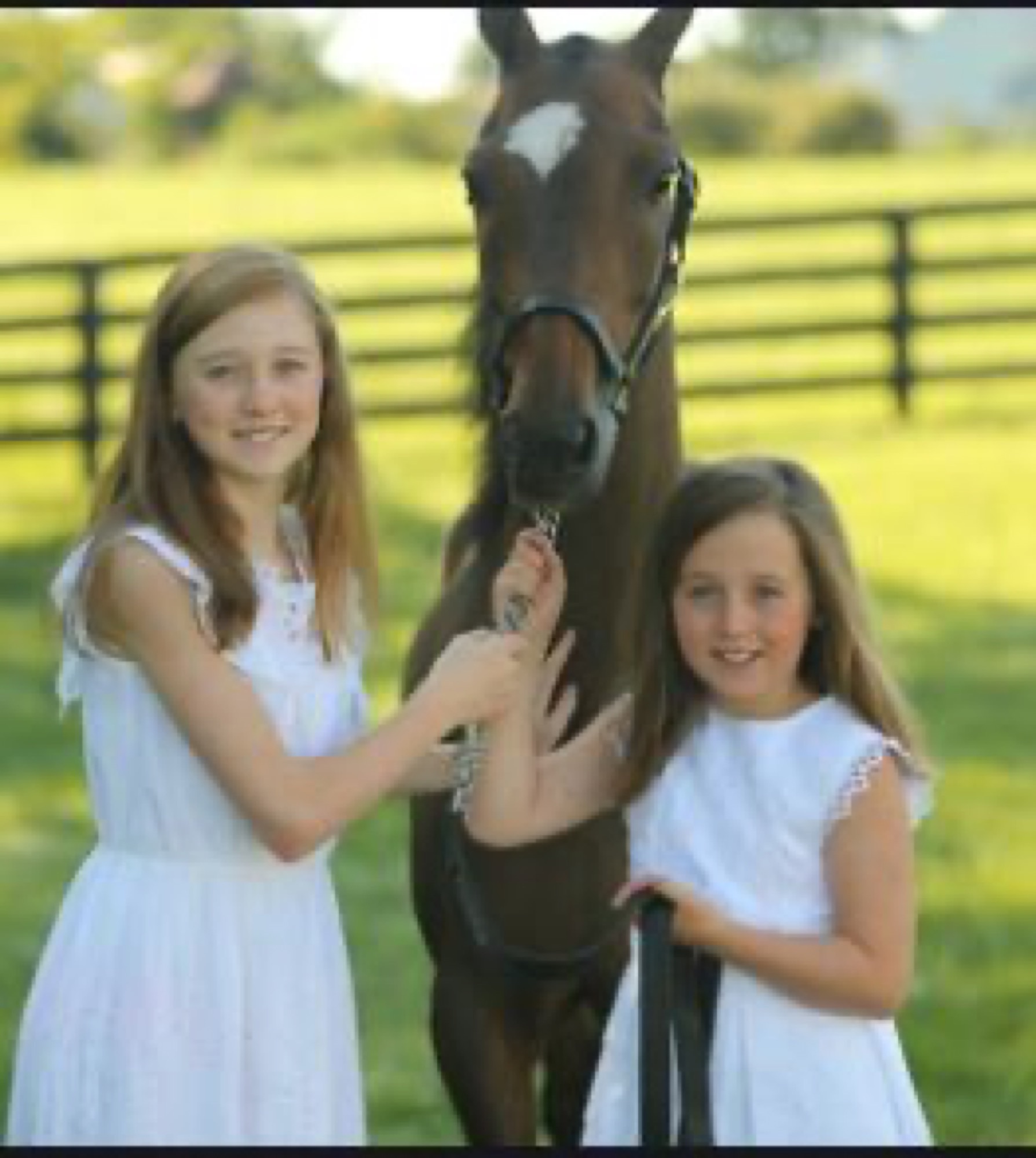 Saddlebred championships