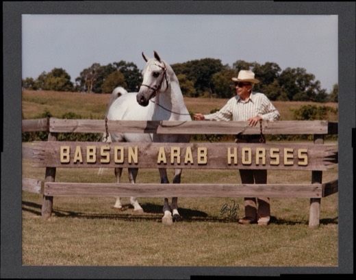 Babson Arabian Horses