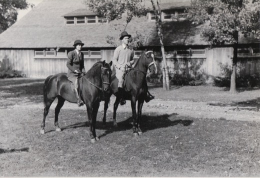 Betty Ted Horses