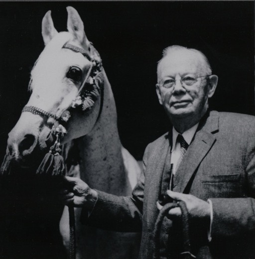 Henry Gray Stallion Fay-El-Dine