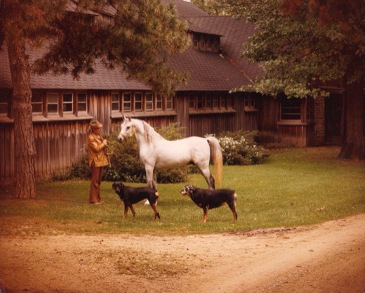 Horse farm