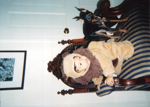 JT lion
