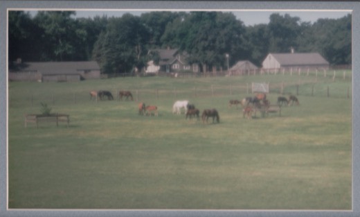 Working side of Babson Farms